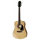EPIPHONE DR-100 NT 